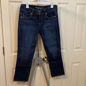 American Eagle Artist Crop Jeans